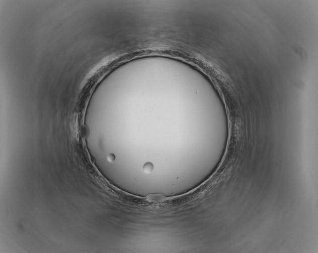 X0000113121262200909181641