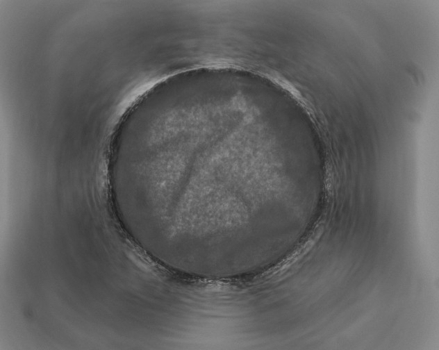 X0000113121263200909181641