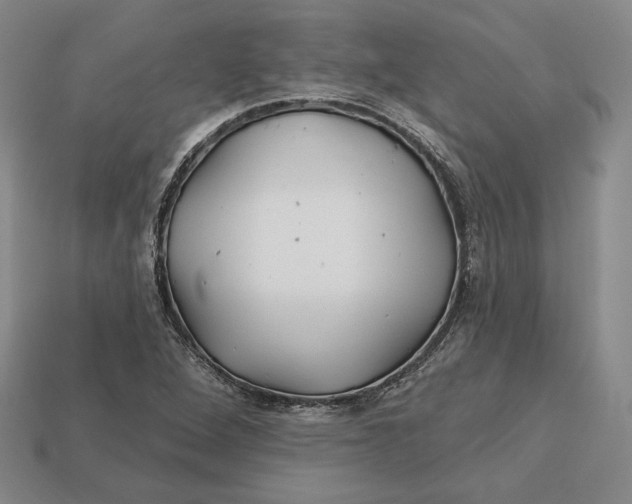 X0000113121264200909181641