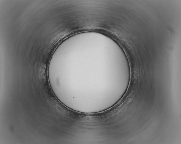 X0000113121265200909181641