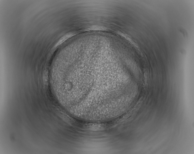 X0000113121266200909181641