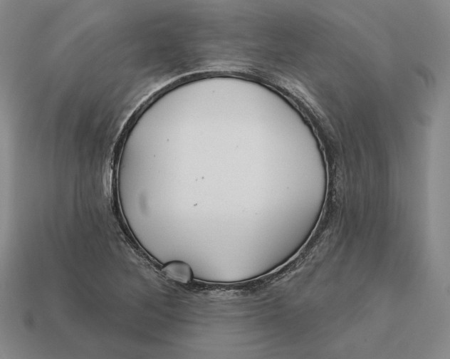 X0000113121268200909181641