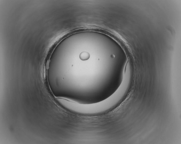 X0000113121269200909181641