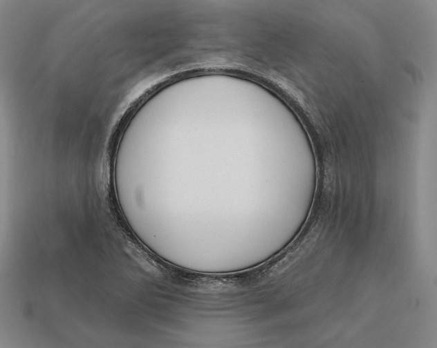 X0000113121270200909181641