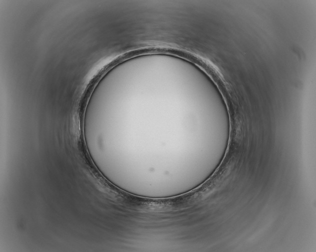 X0000113121271200909181641