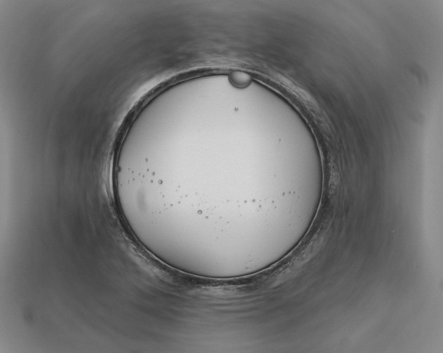 X0000113121272200909181641