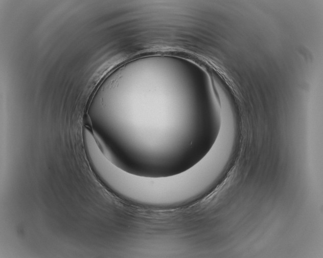 X0000113121273200909181641