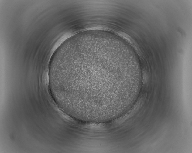 X0000113121274200909181641