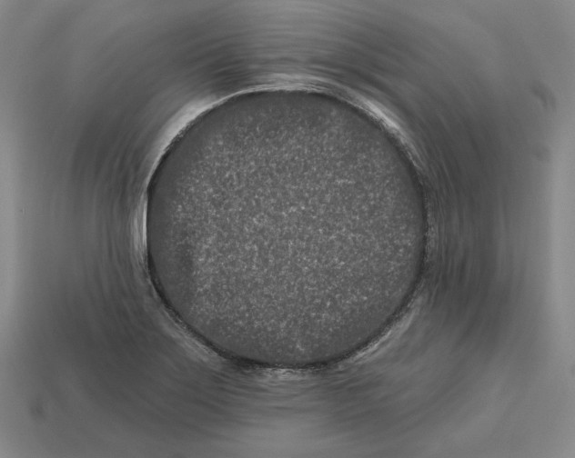 X0000113121275200909181641