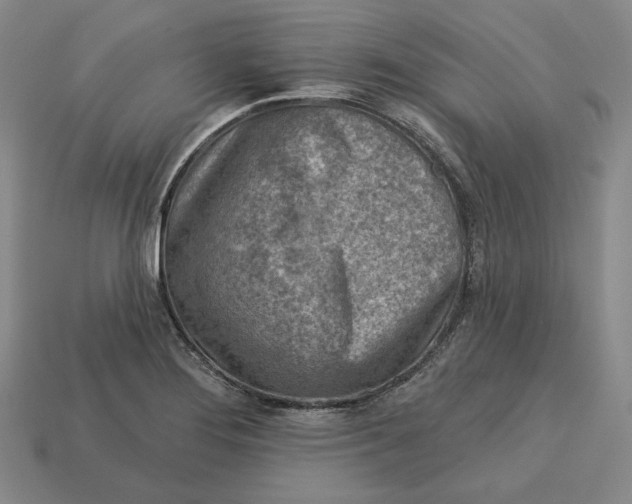 X0000113121276200909181641