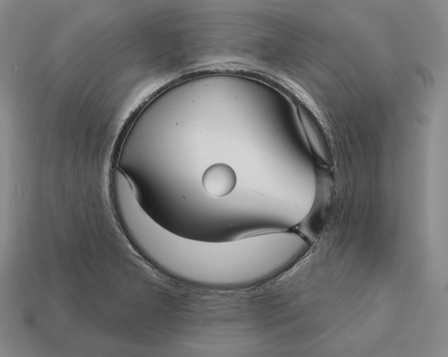 X0000113121277200909181641