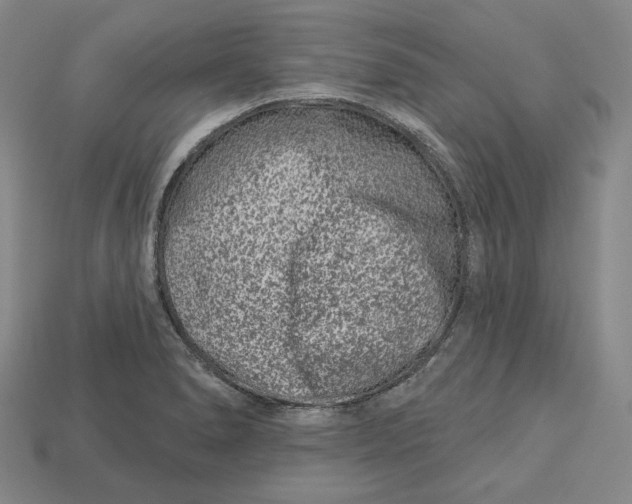 X0000113121278200909181641