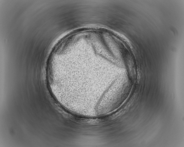 X0000113121279200909181641