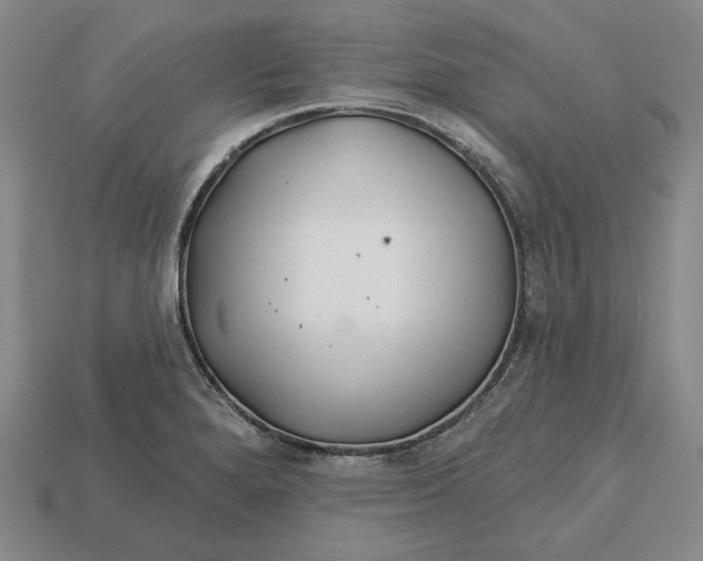 X0000113121280200909181641