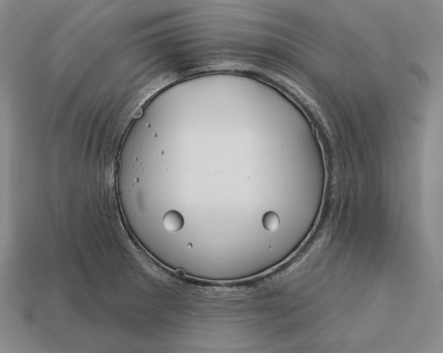 X0000113121281200909181641