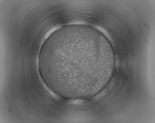 X0000113121282200909181641