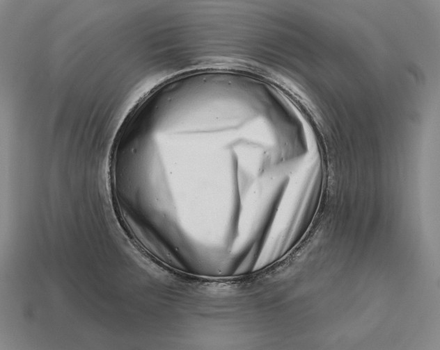 X0000113121283200909181641