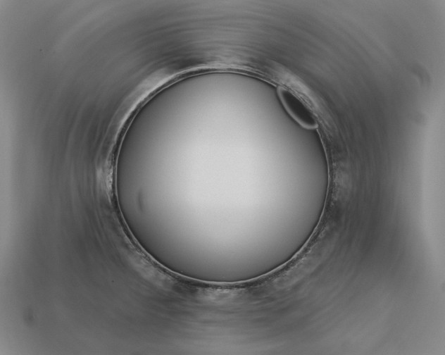 X0000113121284200909181641