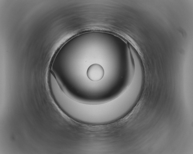 X0000113121285200909181641