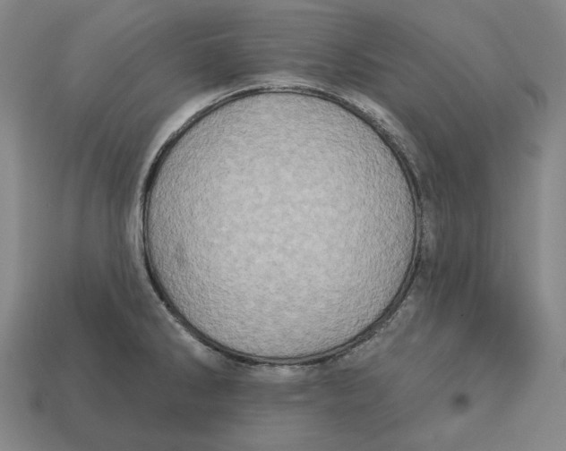 X0000113121286200909181641