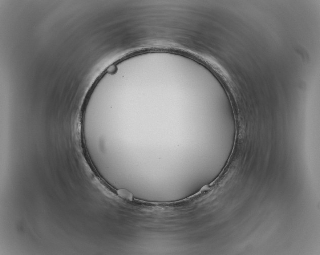 X0000113121287200909181641