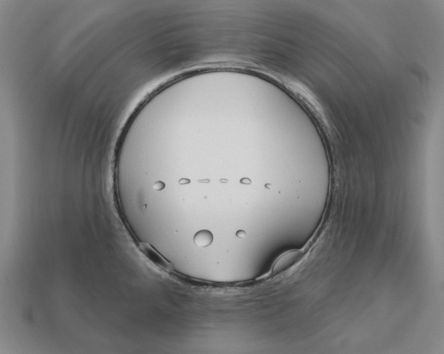 X0000113121288200909181641