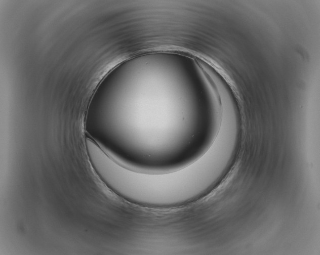 X0000113121289200909181641