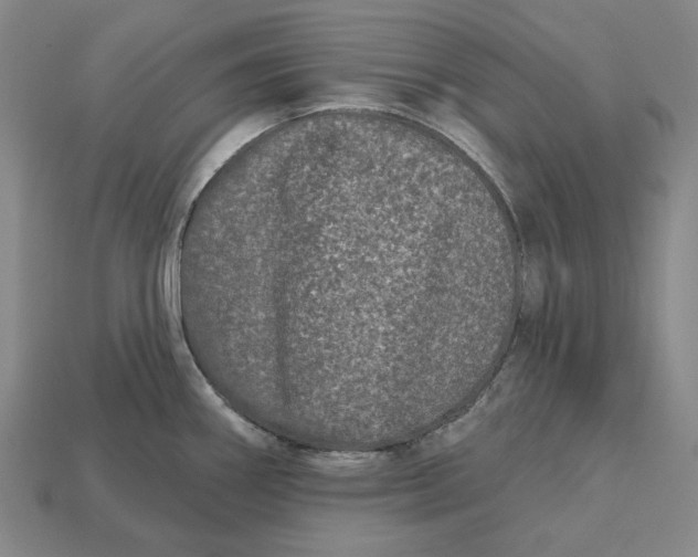 X0000113121290200909181641