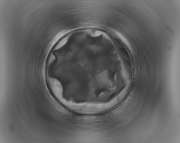 X0000113121291200909181641