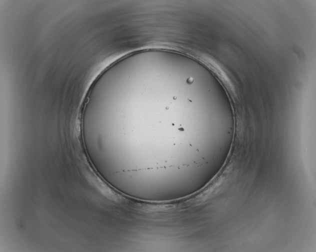 X0000113121292200909181641