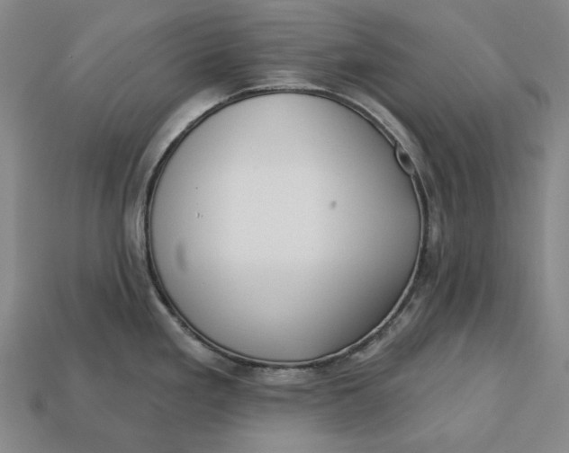 X0000113121293200909181641