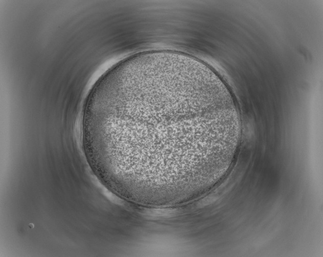 X0000113121294200909181641