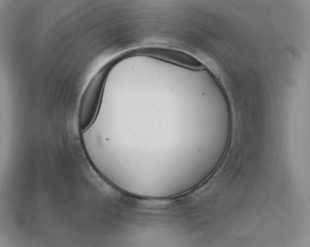 X0000113121296200909181641