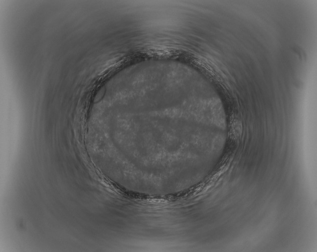 X0000113121297200909181640