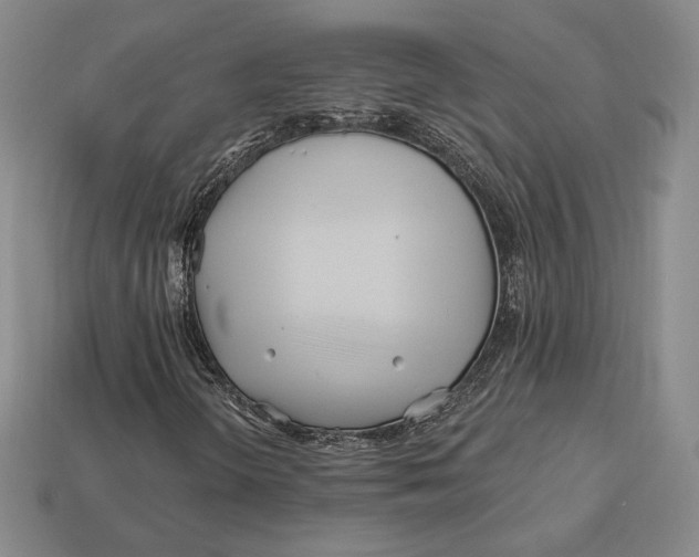 X0000113121298200909181640