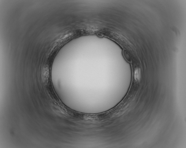 X0000113121299200909181640