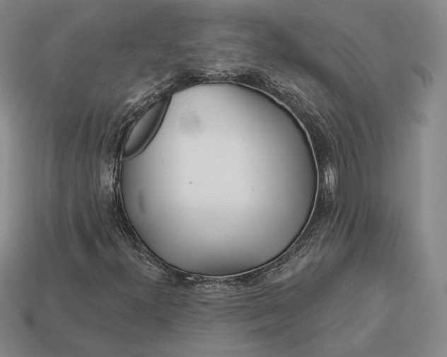 X0000113121300200909181640