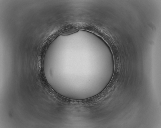 X0000113121301200909181640