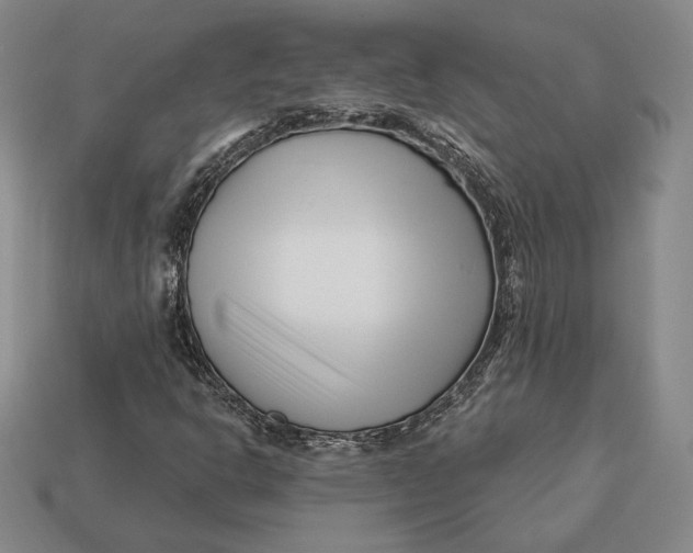 X0000113121302200909181640