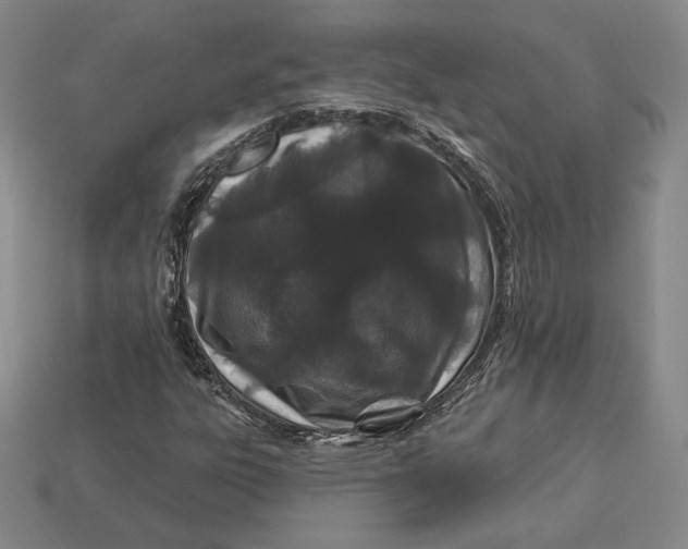 X0000113121303200909181640