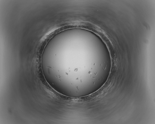 X0000113121304200909181640