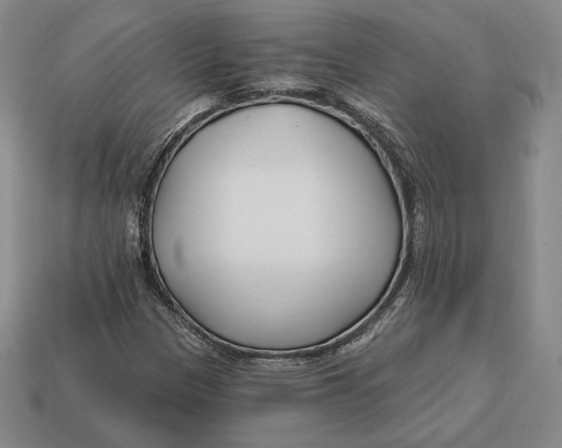 X0000113121305200909181640