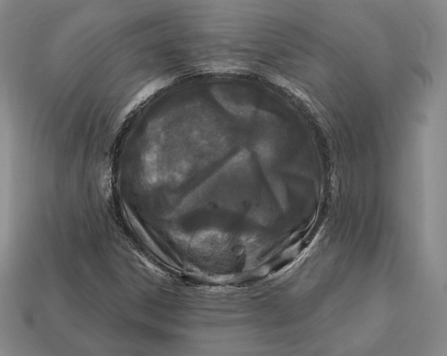 X0000113121306200909181640