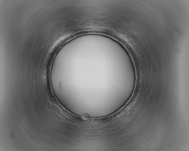 X0000113121307200909181640