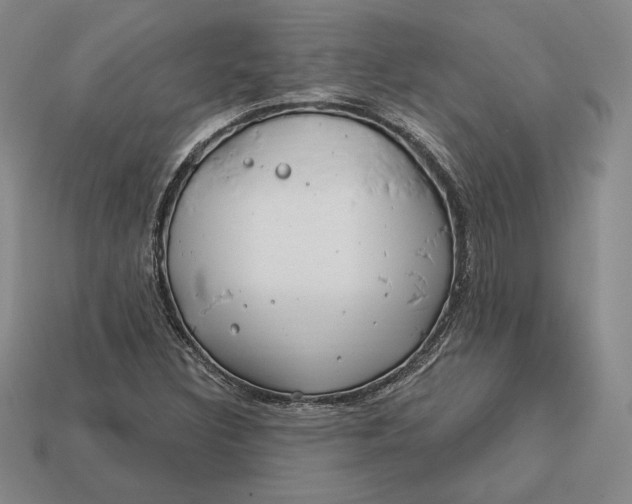 X0000113121308200909181640