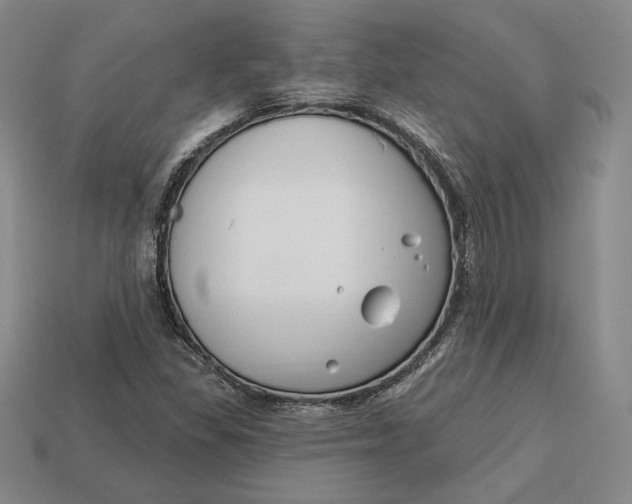 X0000113121309200909181641