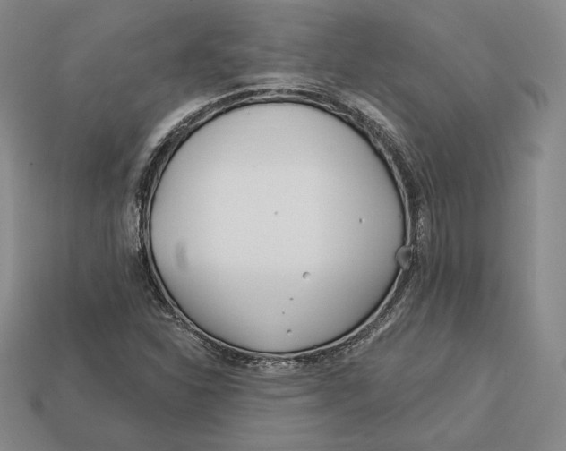 X0000113121310200909181641