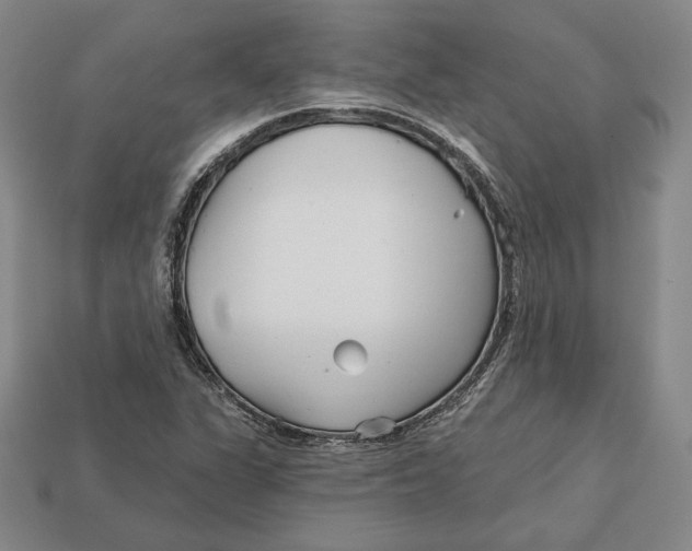 X0000113121311200909181641