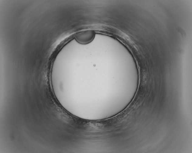 X0000113121312200909181641