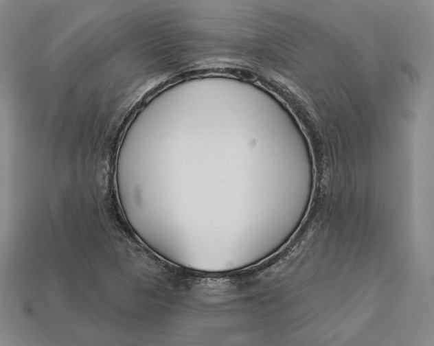 X0000113121313200909181641